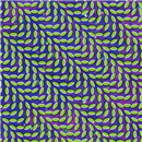 Merriweather Post Pavilion